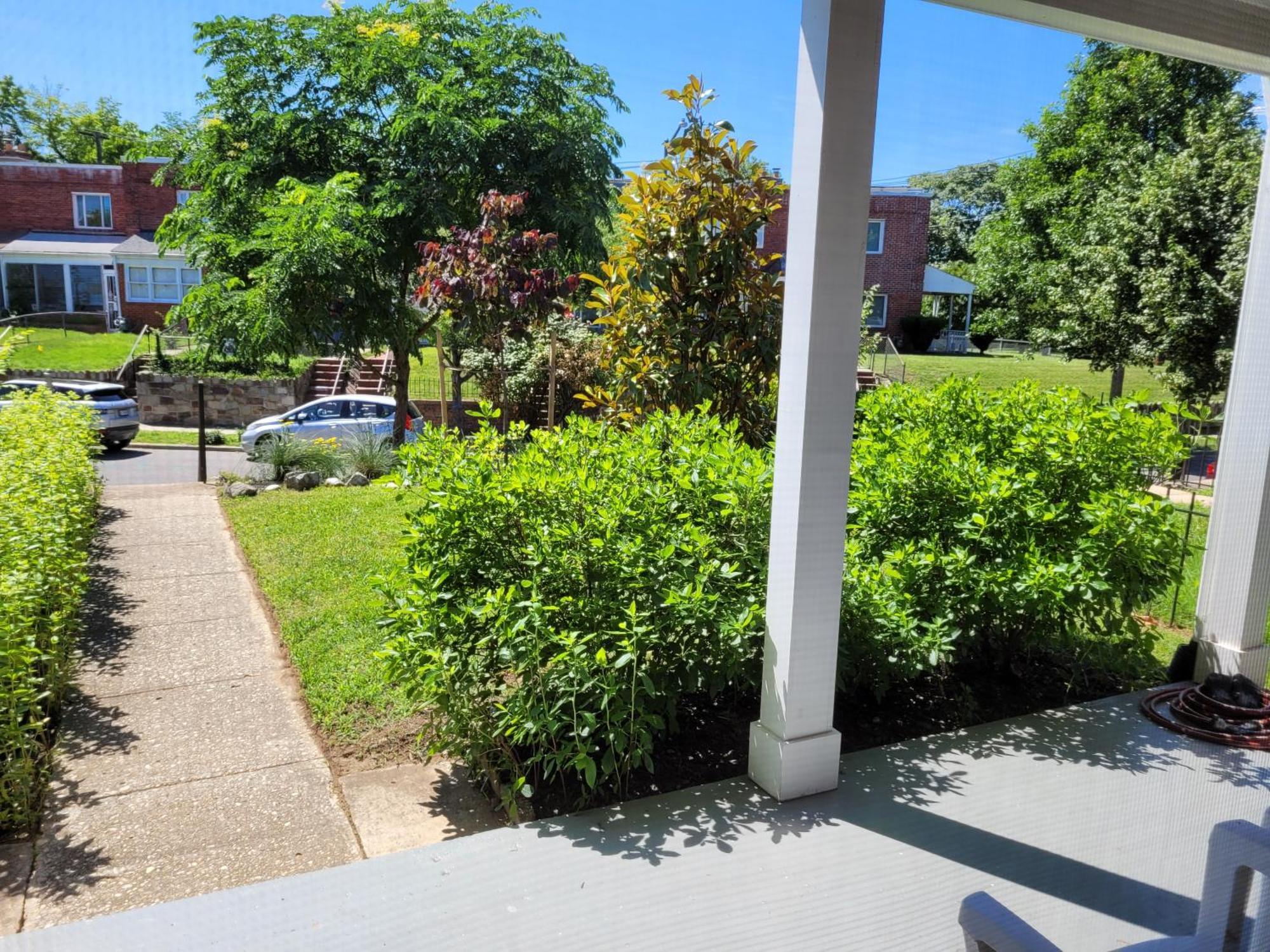 Capitol Hill Adj Home With Parking And Easy Access To Downtown Washington Exteriér fotografie